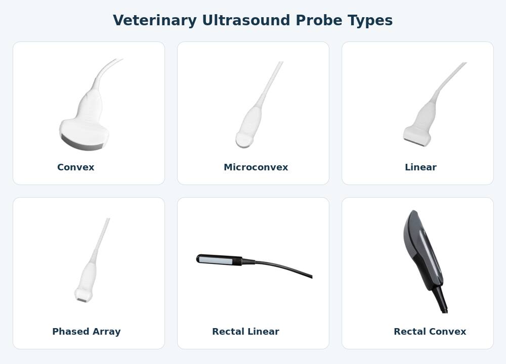 veterinary probe types