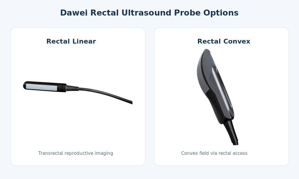 Dawei rectal linear probe and rectal convex probe