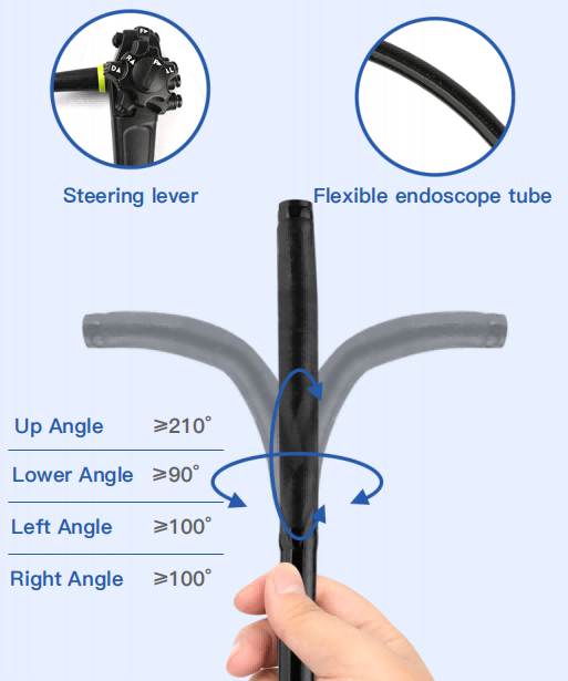 veterinary endoscopy system