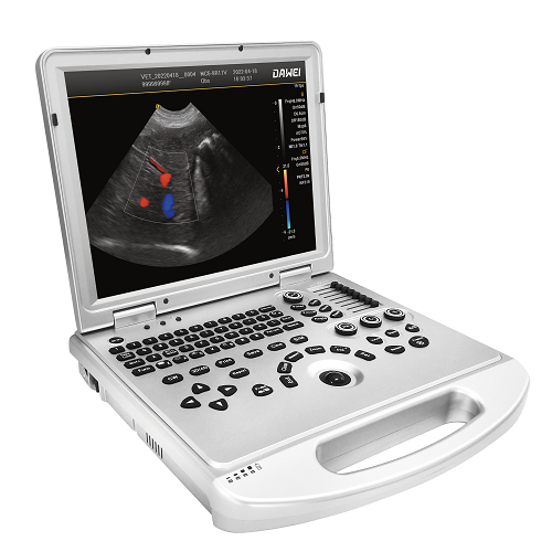 bulk portable veterinary ultrasound
