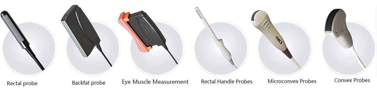 animal ultrasound probes