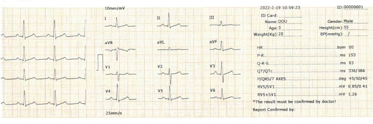 Appareil ECG pour vétérinaire