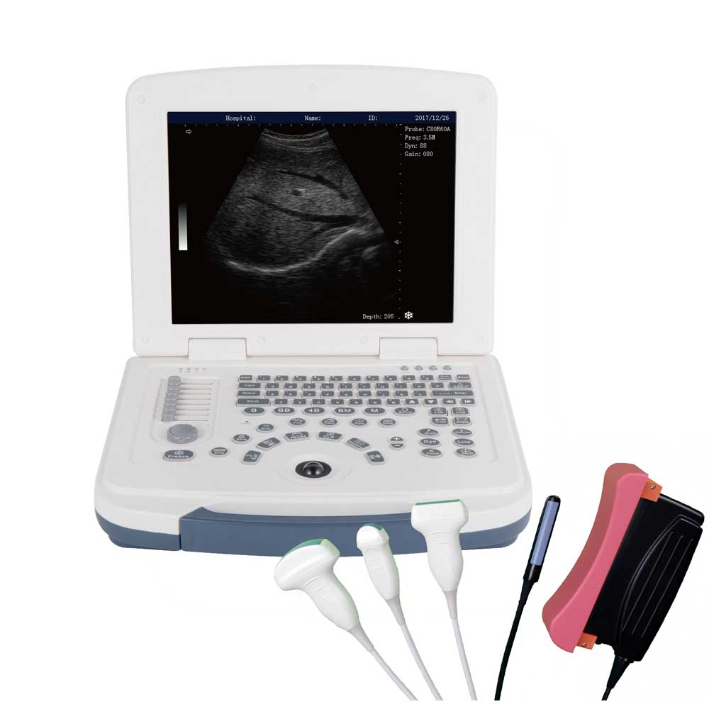 laptop pet ultrasound machine