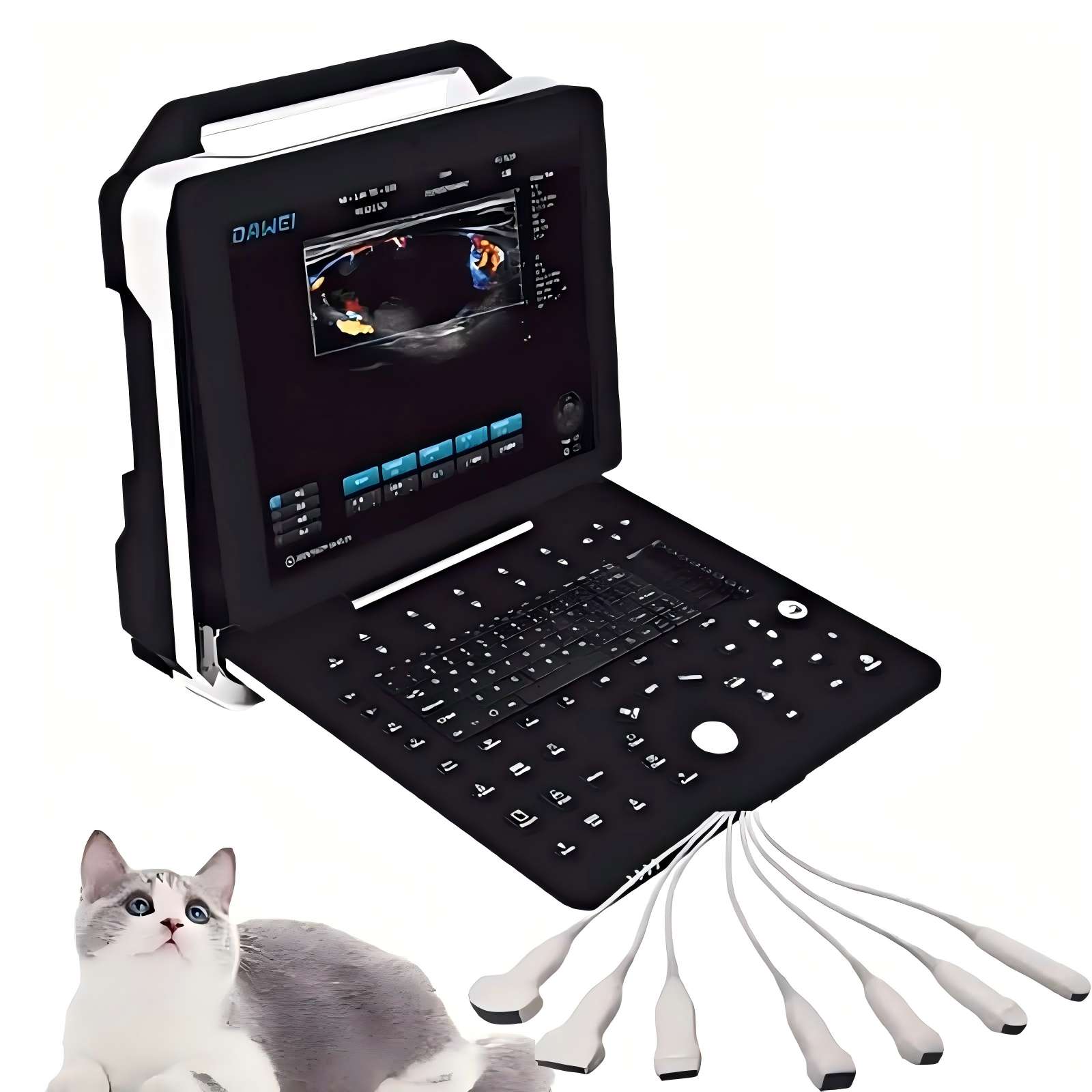 color Doppler ultrasound for animals