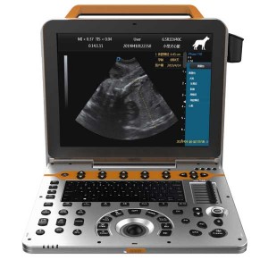 ultrasound machine portable cattle
