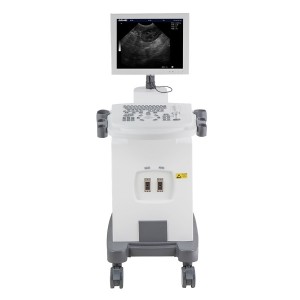 Carrello di livello medio Sistema ad ultrasuoni veterinario completamente digitale