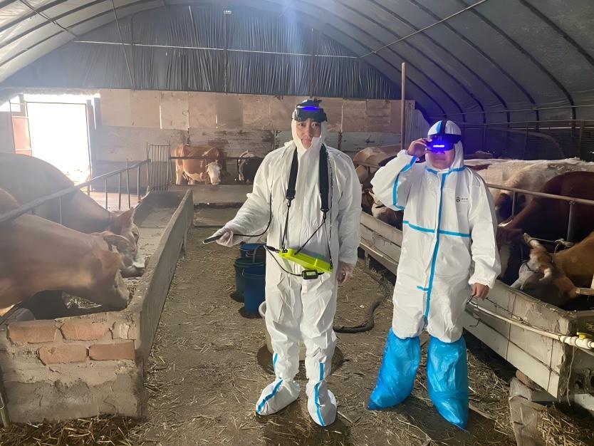 cattle ultrasound machine
