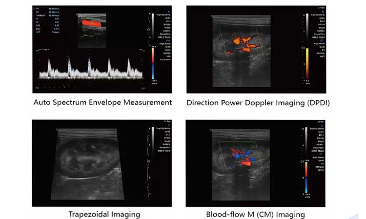 Imagens clínicas de ultrassom veterinário
