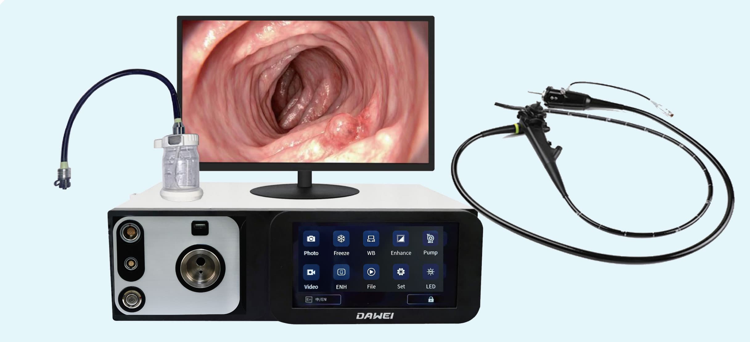 veterinary endoscopy system
