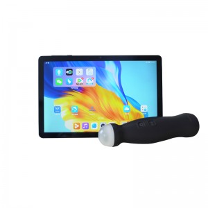 Sonda de ultrasonido mecánica sectorial inalámbrica para el diagnóstico de gestación en cerdos y ovejas