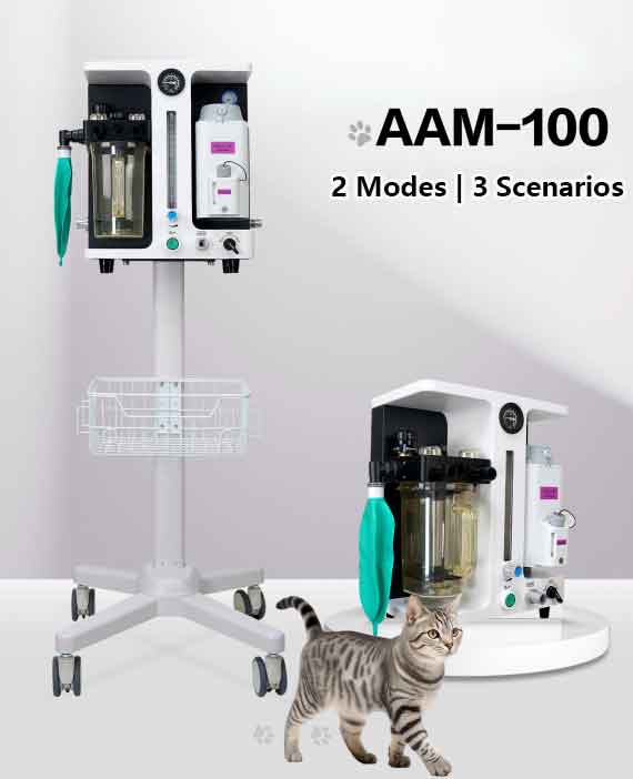 veterinary anesthesia machine