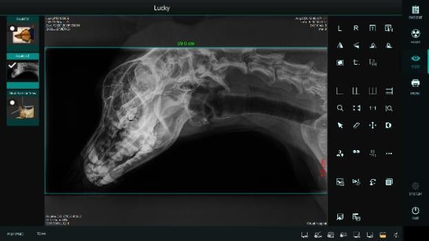 Veterinary X-ray equipment