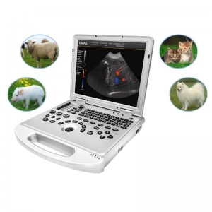 sheep ultrasound machine
