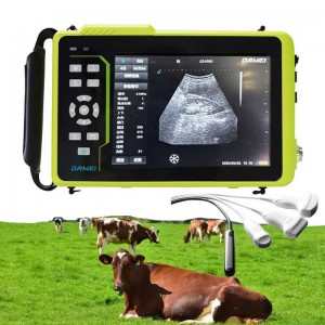 cattle ultrasound machine