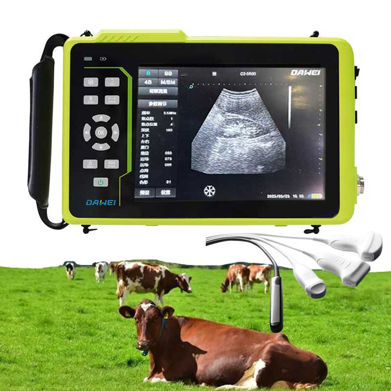 cattle ultrasound machine