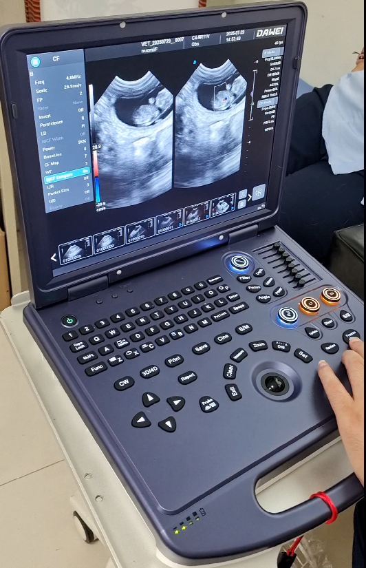 pet ultrasound machine