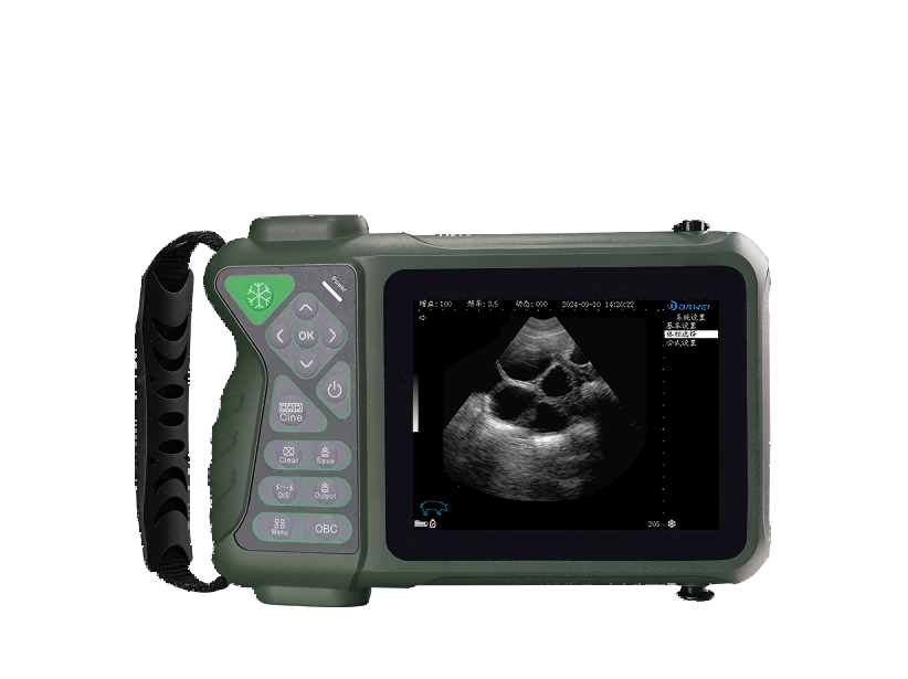ultrasound for sheep