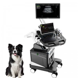 Trolley-type veterinary ultrasound machine