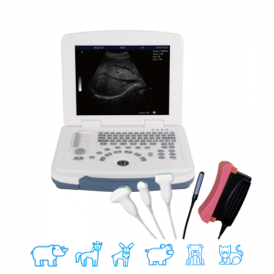 animal ultrasound machine