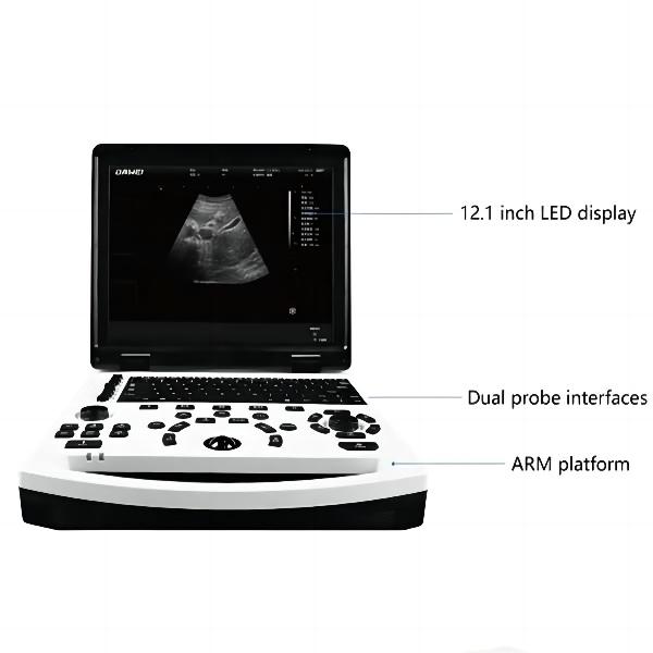 Ultrassom veterinário digital