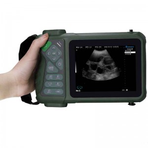 Swine Pregnancy Ultrasound Scanner