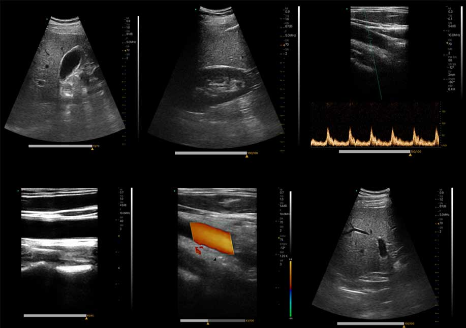 aparelho de ultrassom veterinário