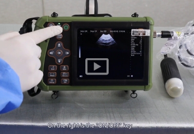 Pig Sheep Pregnancy Ultrasound Scanner S0