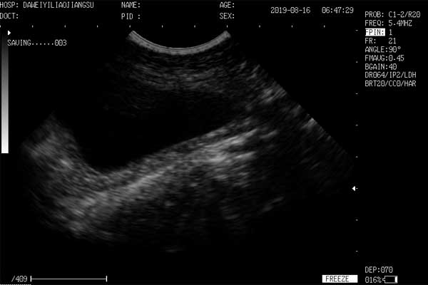 animal ultrasound
