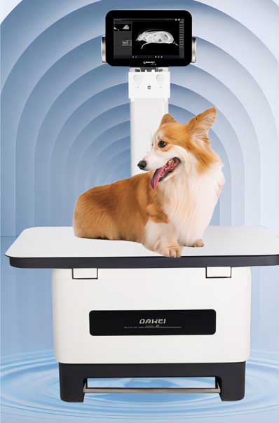 Digitales Tierarzt-Röntgengerät