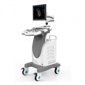 Carrello con piattaforma per PC High Elements Sistema diagnostico a ultrasuoni veterinario digitale completo
