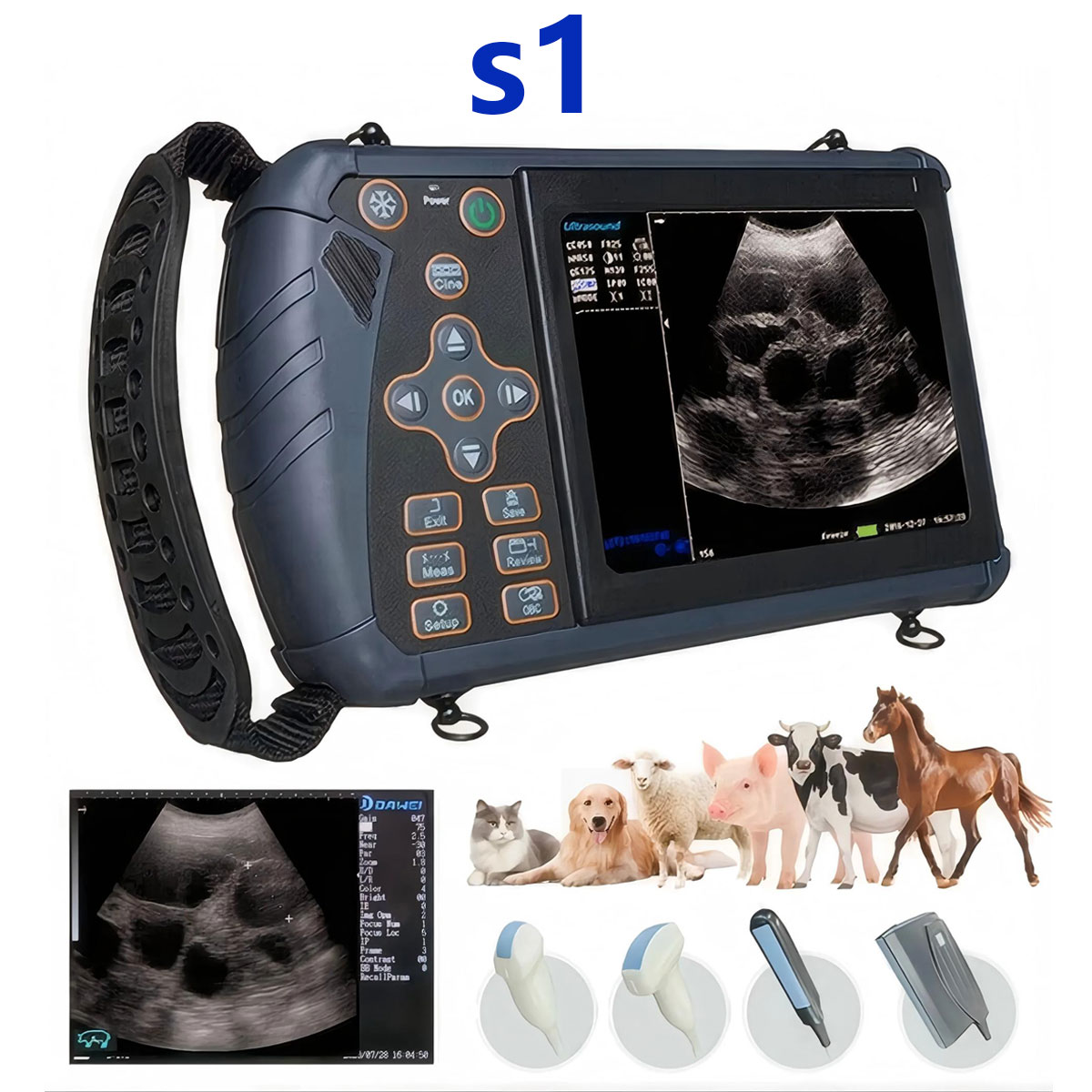 pig ultrasound machine