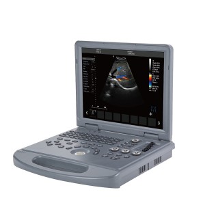 Sistema diagnostico a ultrasuoni Color Doppler veterinario digitale completo di base portatile a