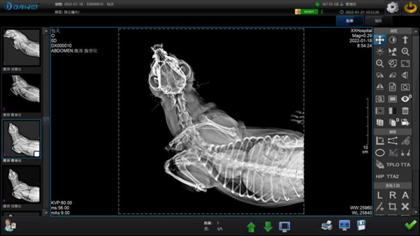 Röntgengerät für Tiere