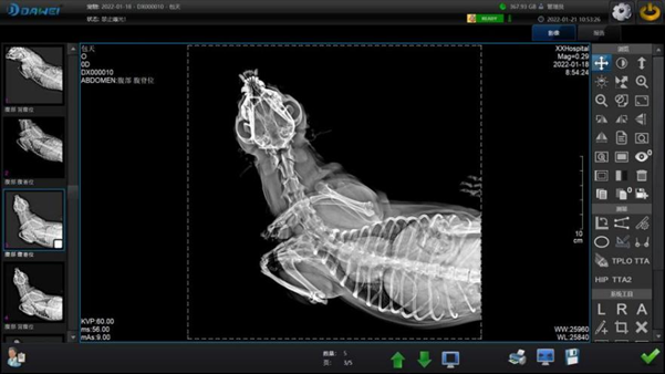 máquina de rayos x para animales