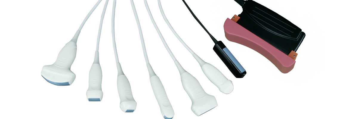 Sonde ultrasonique pour animaux de compagnie P5-VET