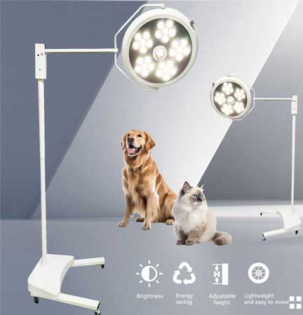 veterinary surgical lights