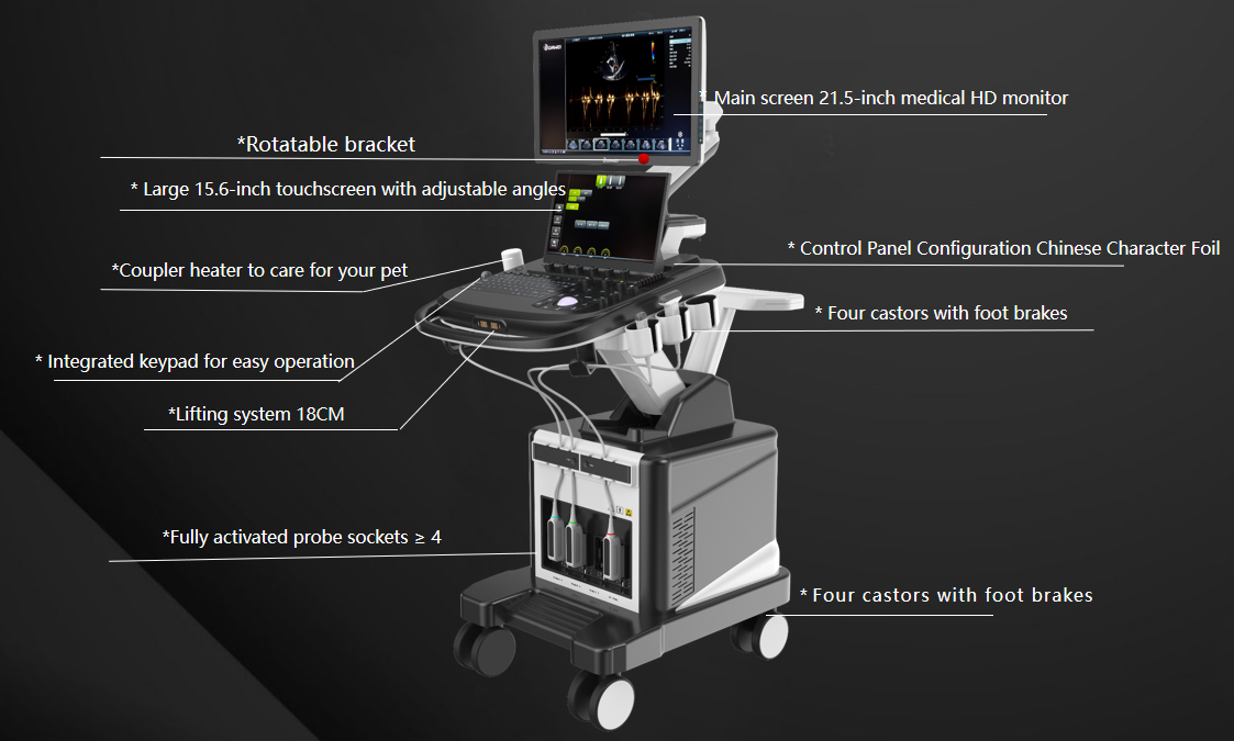 Veterinär-Farbdoppler