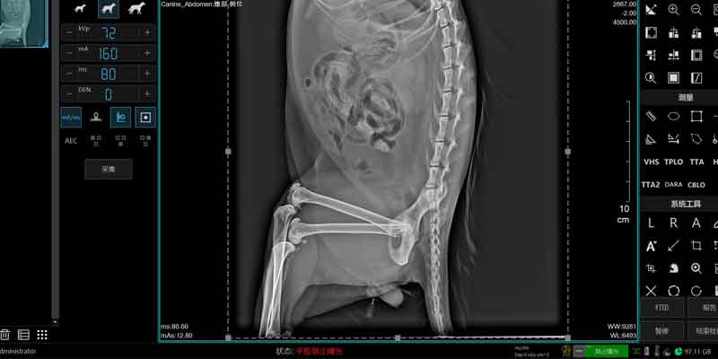 portable x ray machine veterinary