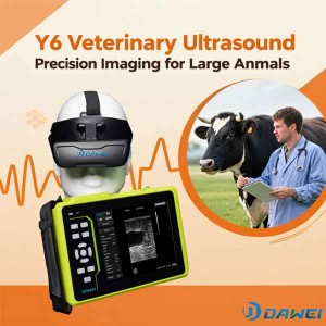 https://www.dwvet.com/waterproofing-handheld-cattle-equine-portable-vet-ultrasound-machine-product/