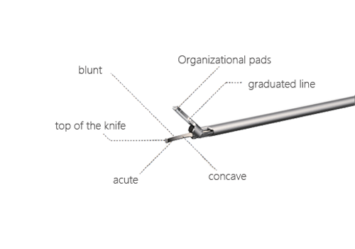 Ultrasonic head structure