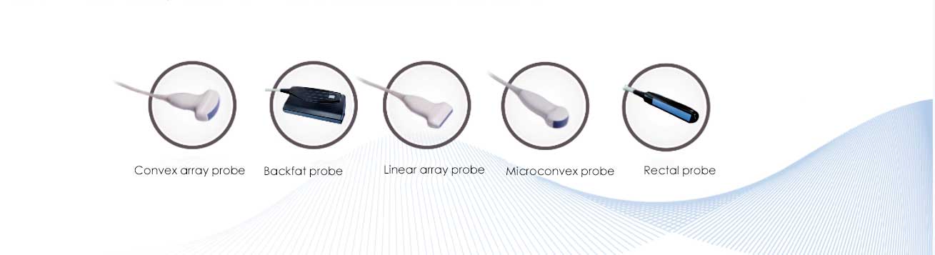 sonda de ultrassom