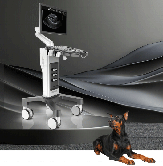 pet ultrasound machine for sale