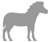 equino