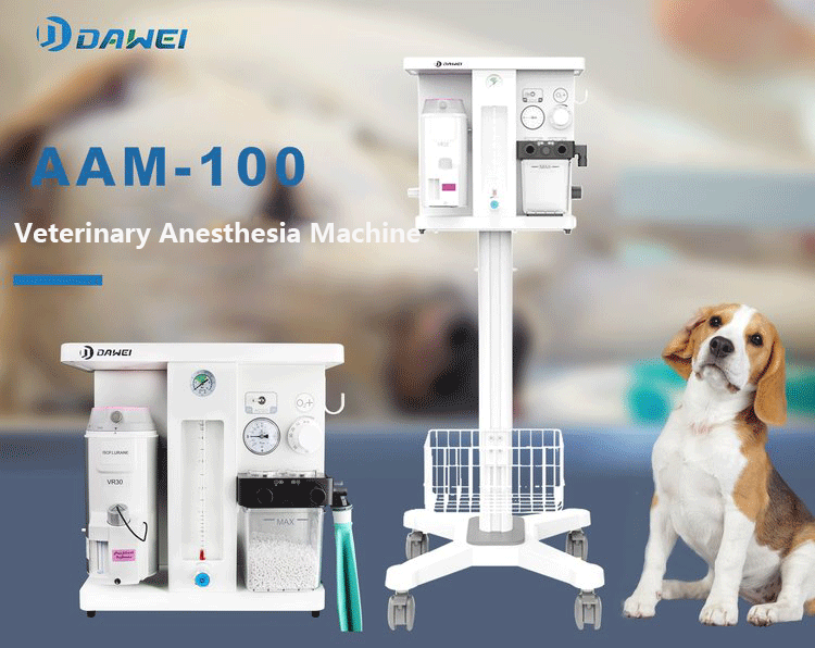 máquina de anestesia veterinaria