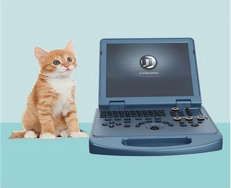 vet ultrasound system