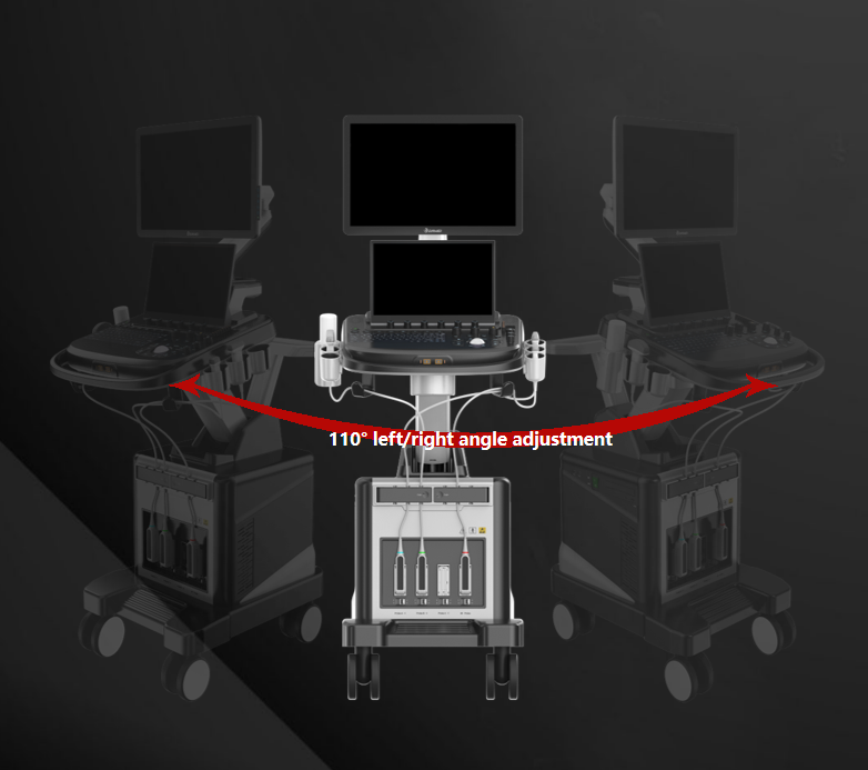 Animal heart ultrasound