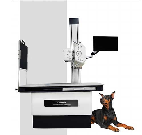 Digital radiography system for animals