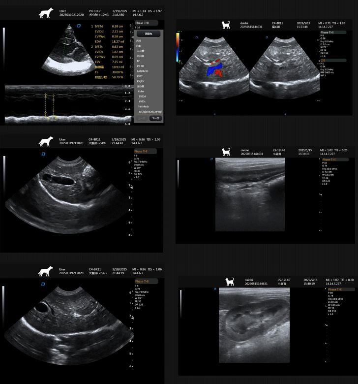 pet ultrasound machine for sale