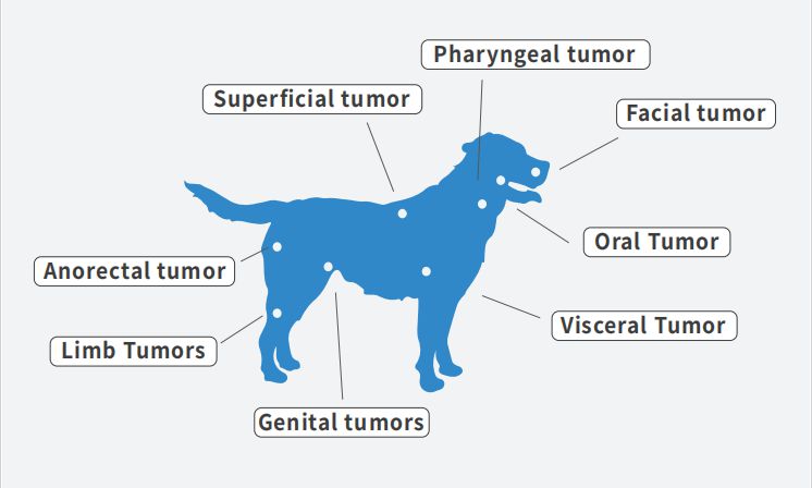 Veterinary Microwave Ablation System