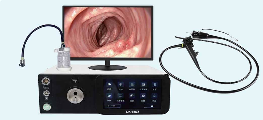 veterinary endoscopy system